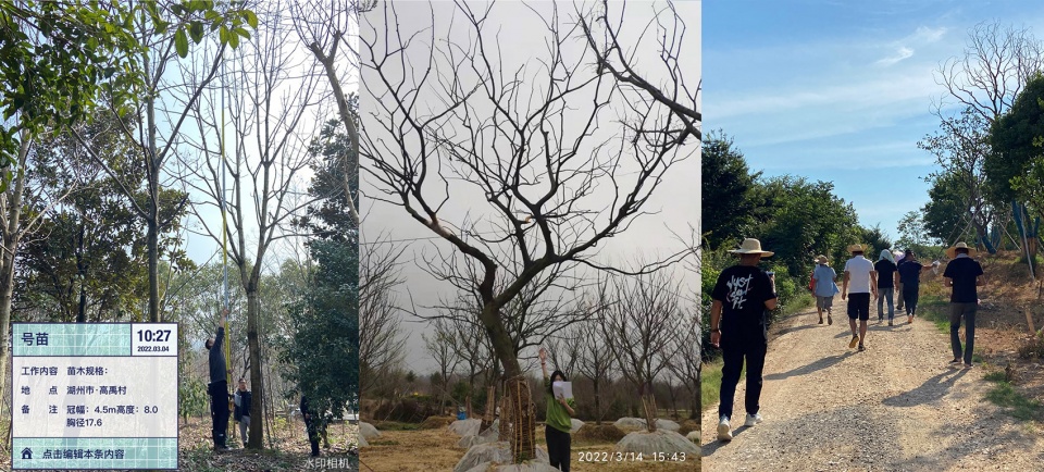 suzhou mountain bilingual school landscape by open zscape