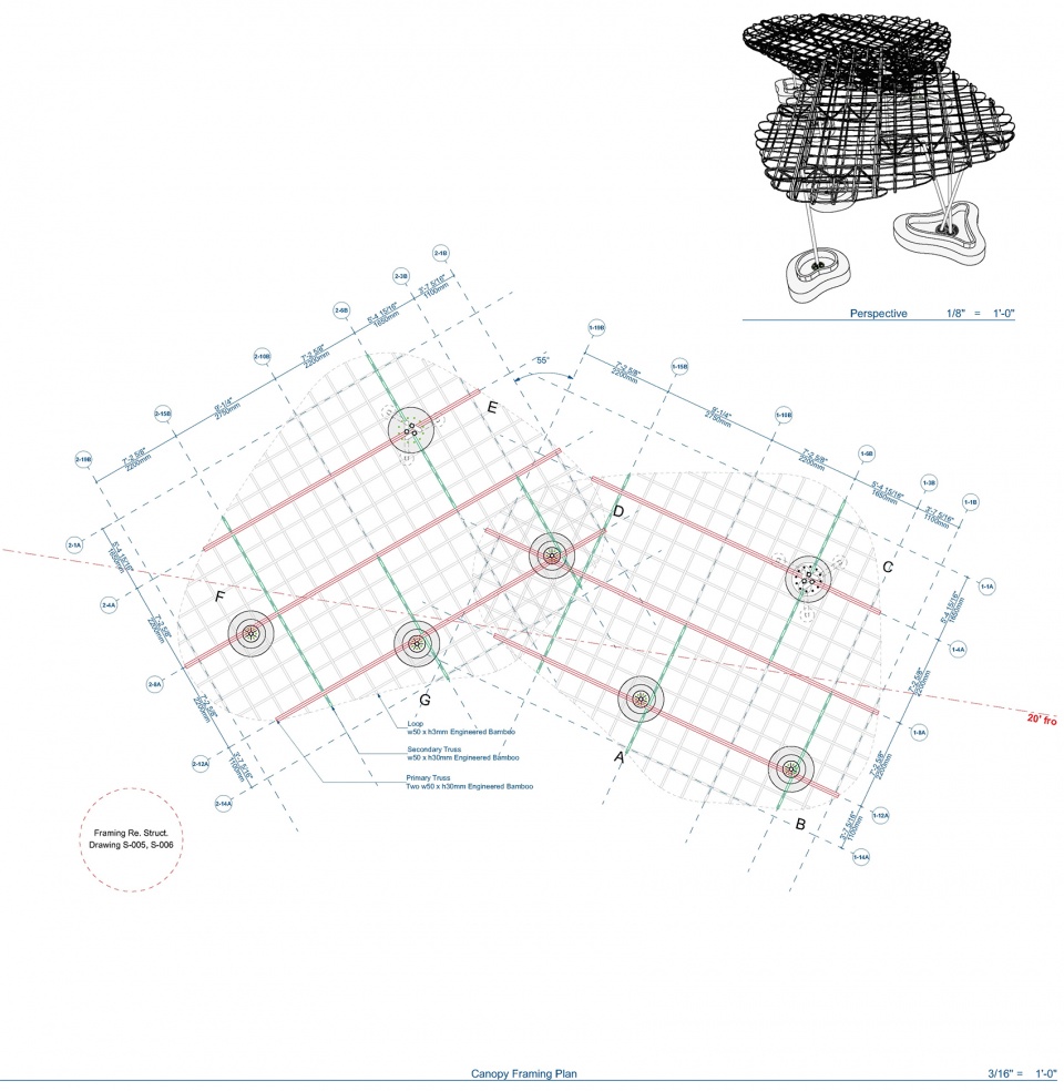 Canopy Framing Plan