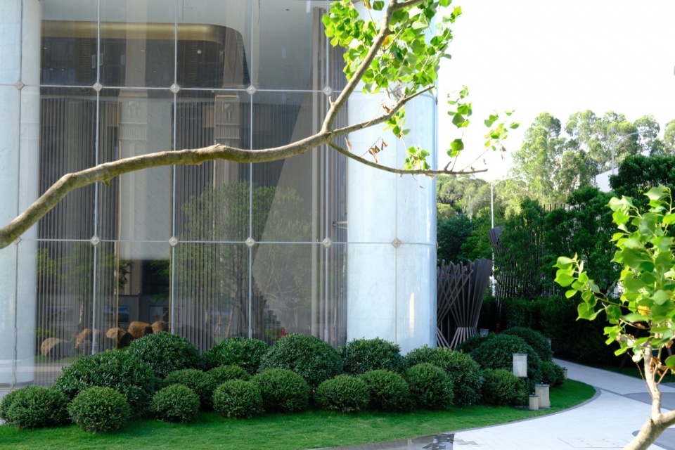 修剪的球灌木,Pruned shrub balls© 三毛 rwo