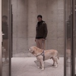 OFFICE真相专辑 NO.40 - GOM高目建筑
