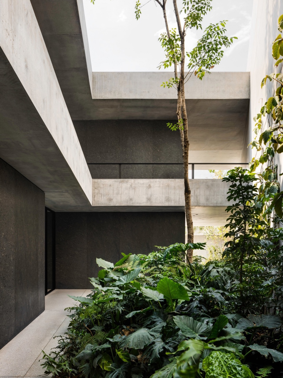 swiss residence in mexico city by fhv