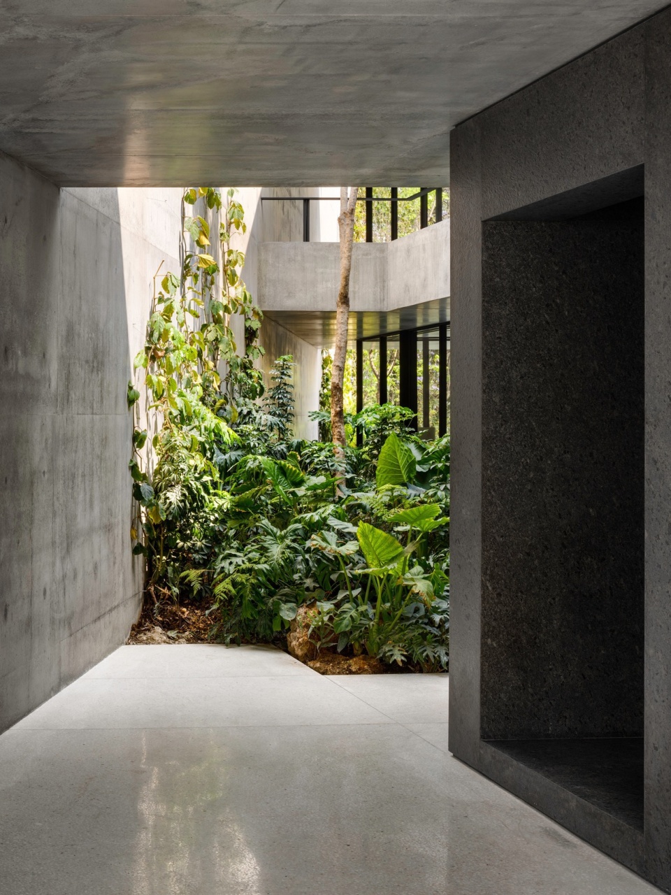 swiss residence in mexico city by fhv