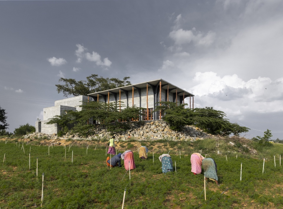 one tree hill by samira rathod design atelier