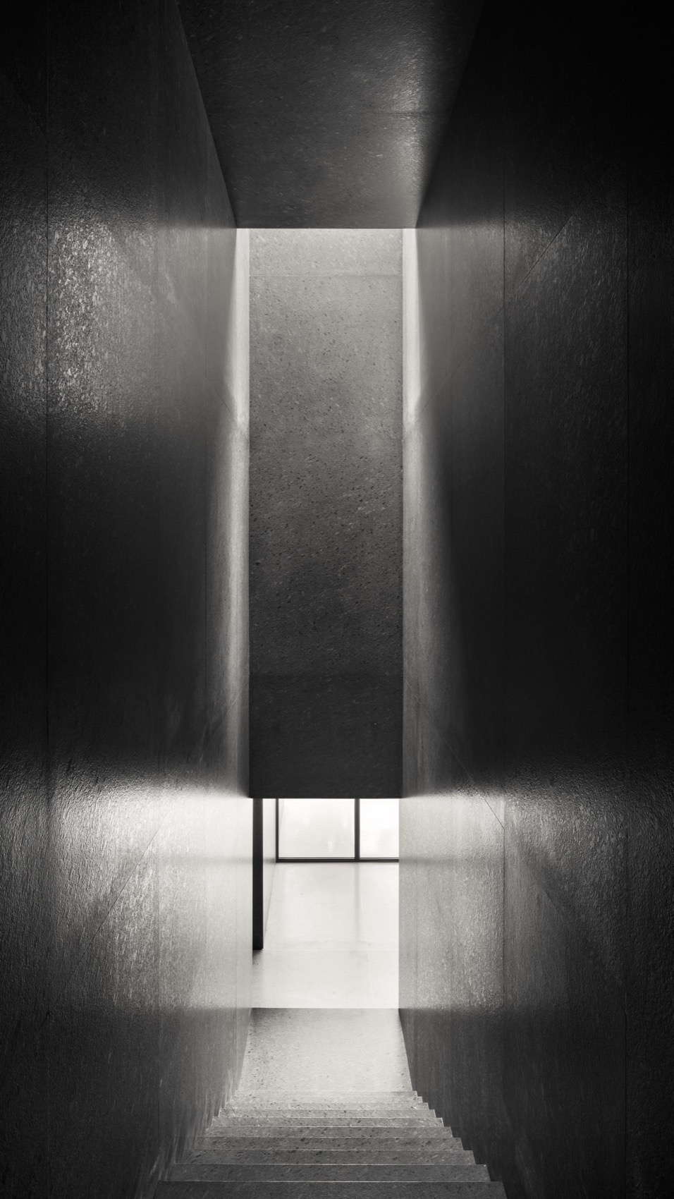 swiss residence in mexico city by fhv