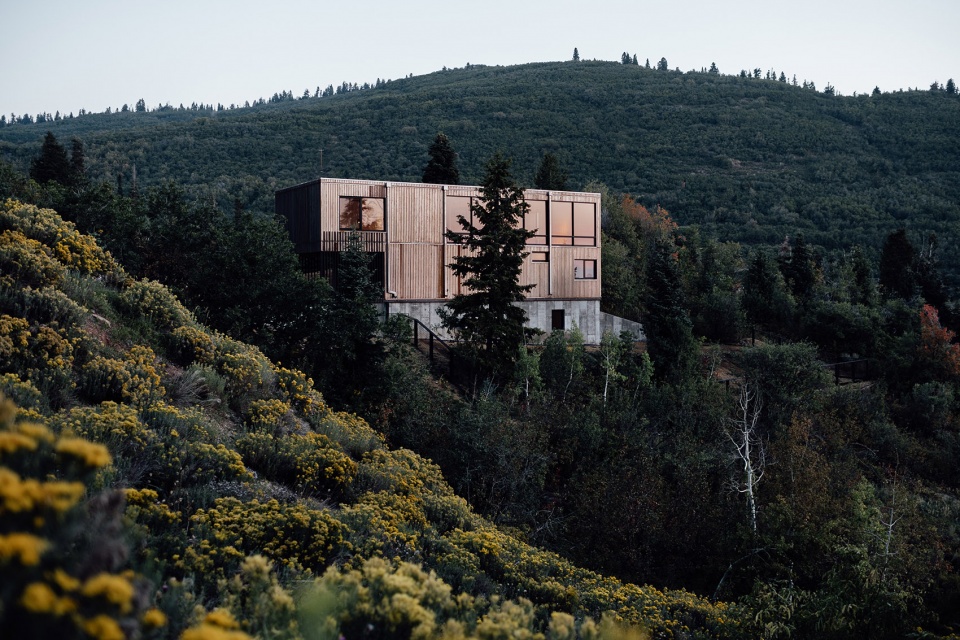 maplehaus by klima architecture