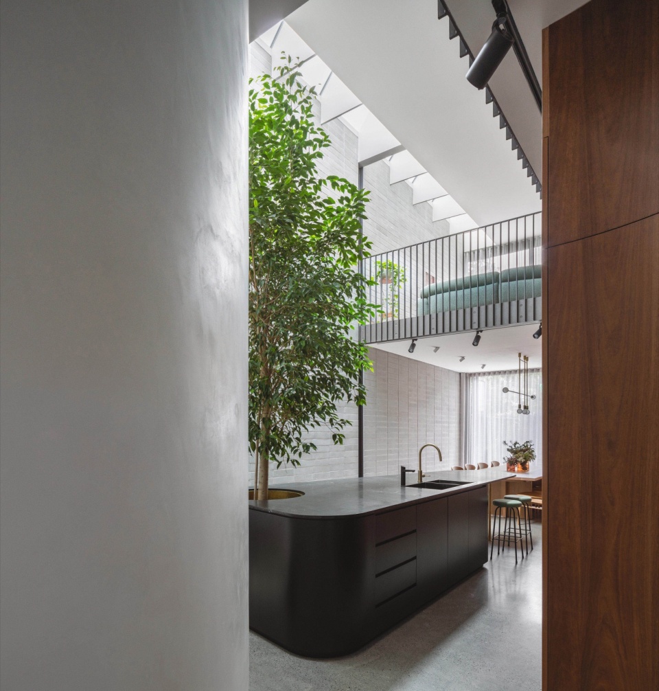 tree island by carter williamson architects