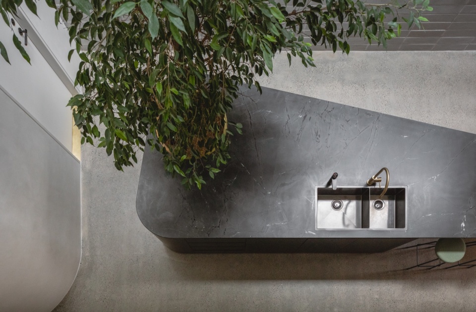 tree island by carter williamson architects