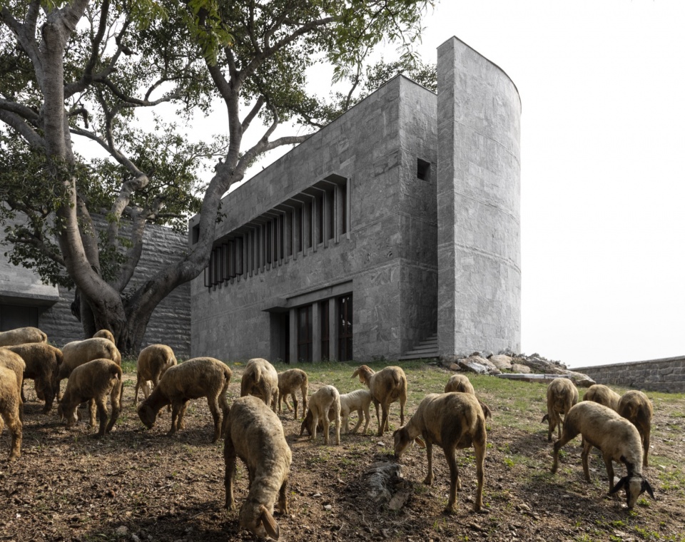 one tree hill by samira rathod design atelier