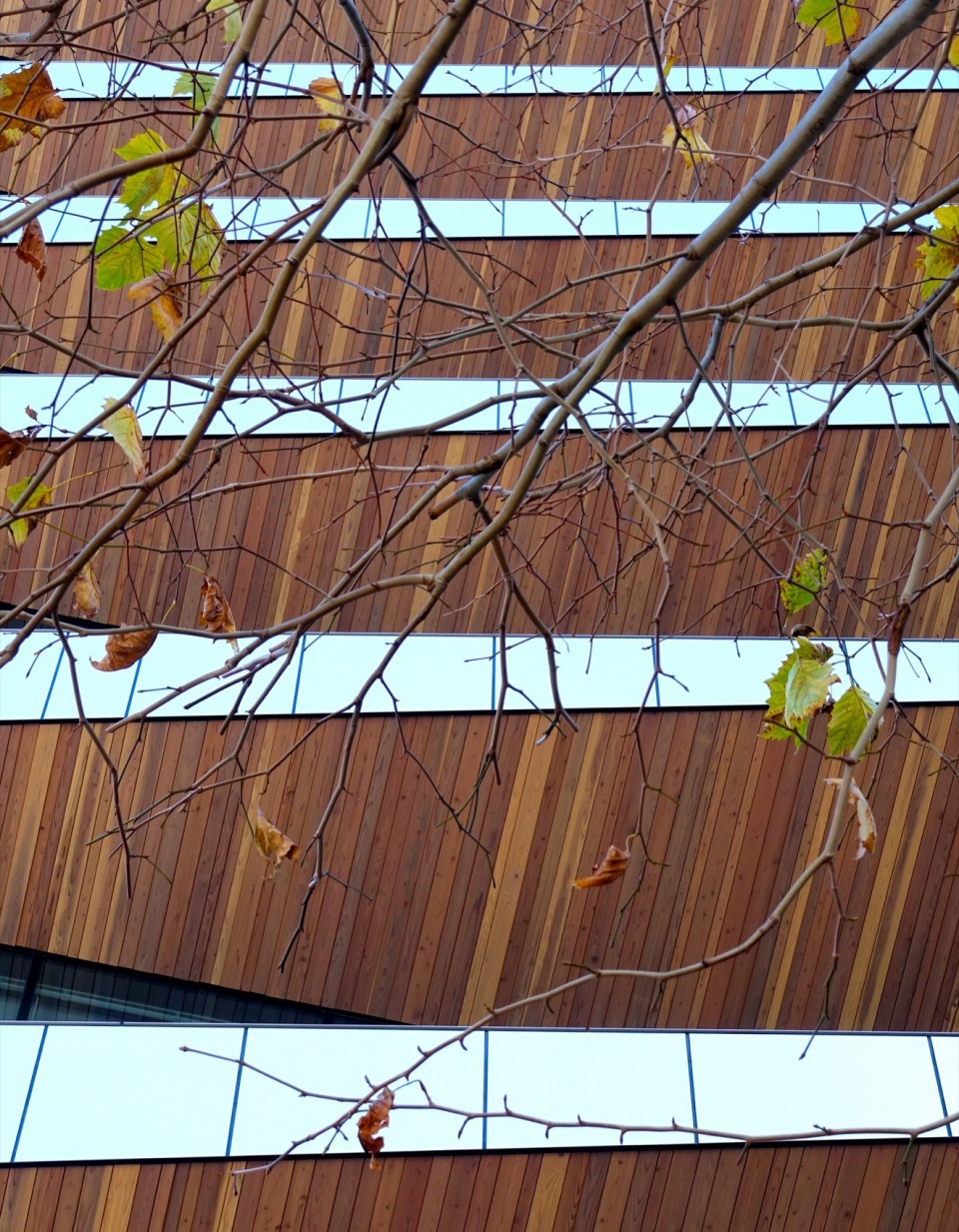 ginsen nishi shimbashi building by nikken sekkei ltd