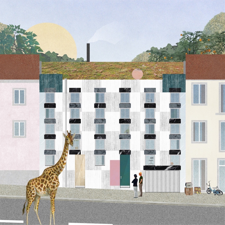 house of countless windows by fala atelier