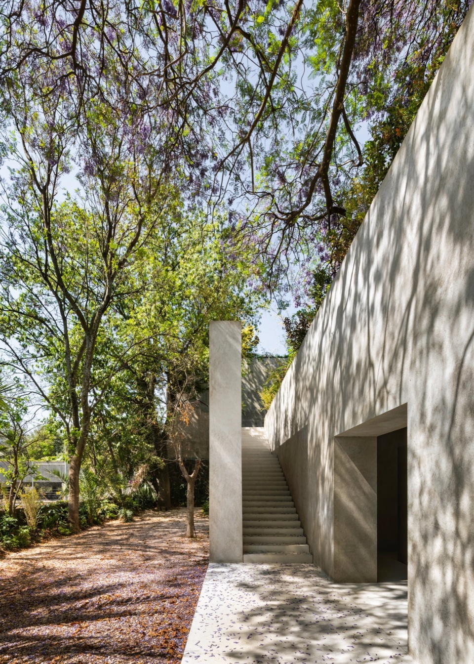 swiss residence in mexico city by fhv