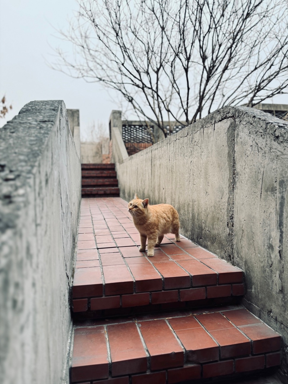 red brick art museum by dong yugan