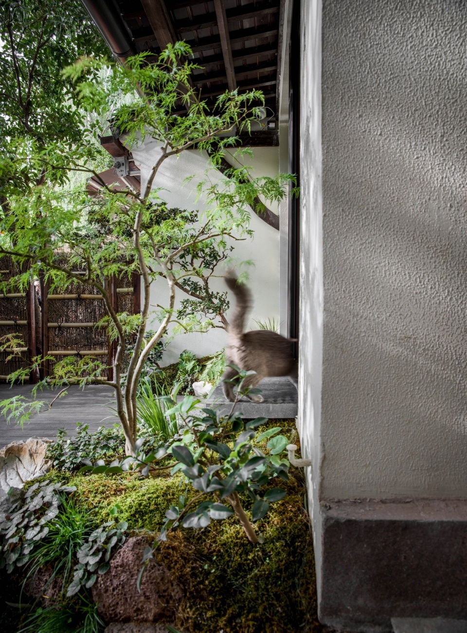 Xiaohe Teahouse Archipoetry Studio