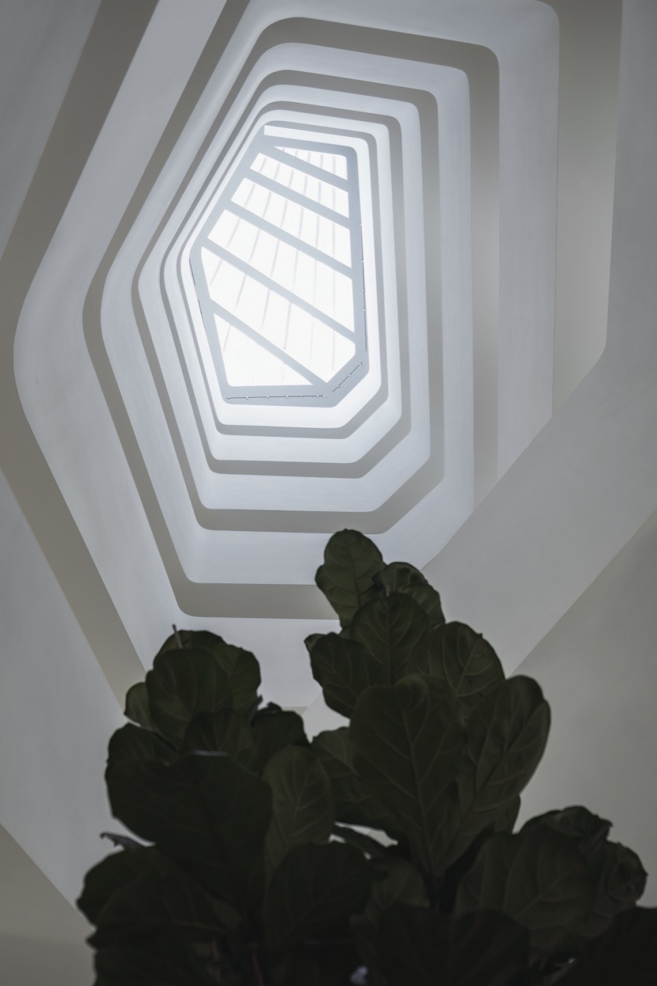 The Sidera by tissellistudioarchitetti