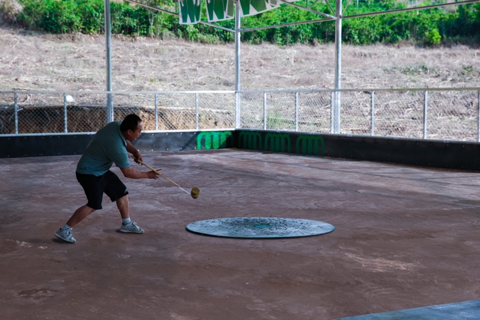 Flying Tops Arenas