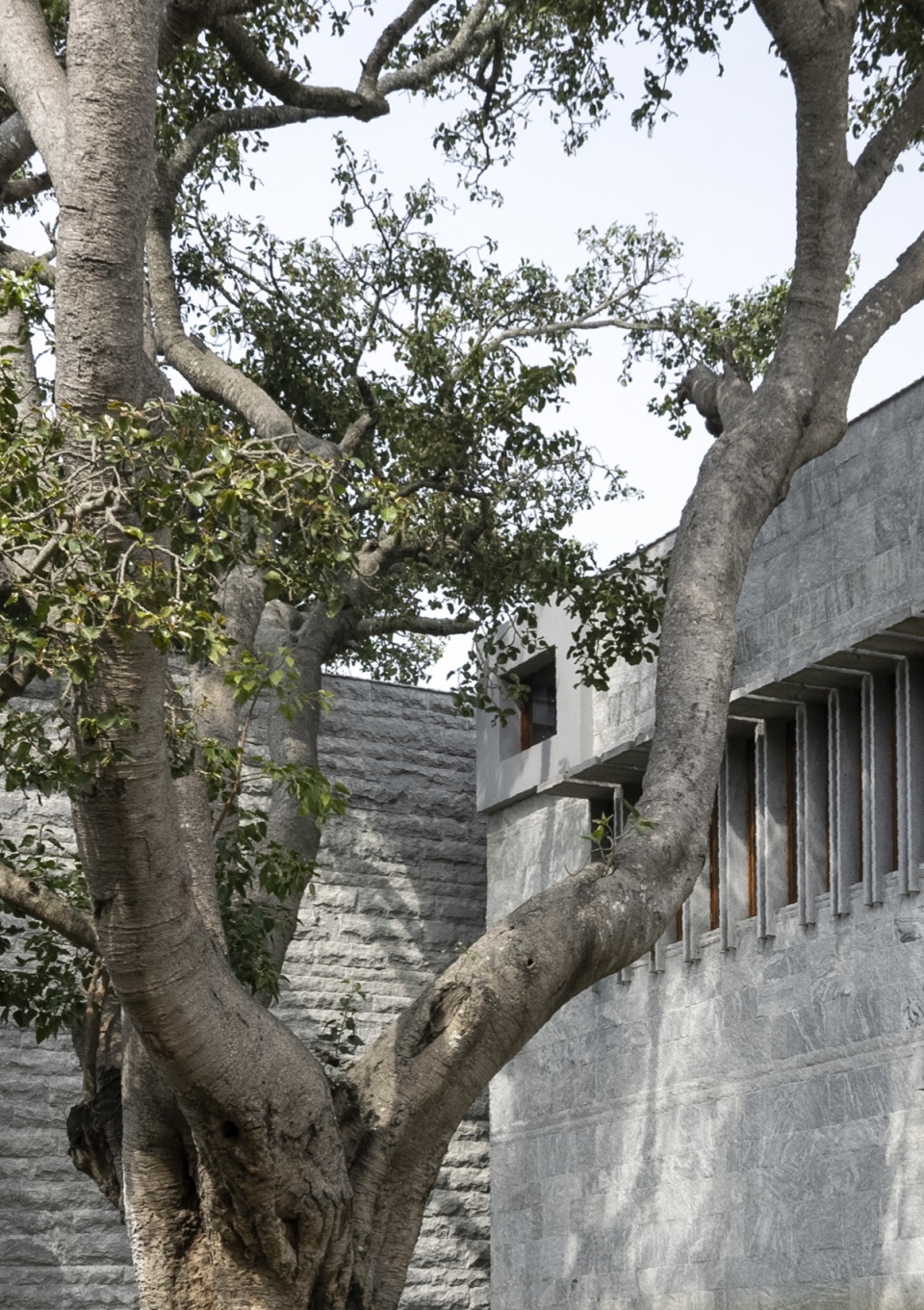 one tree hill by samira rathod design atelier