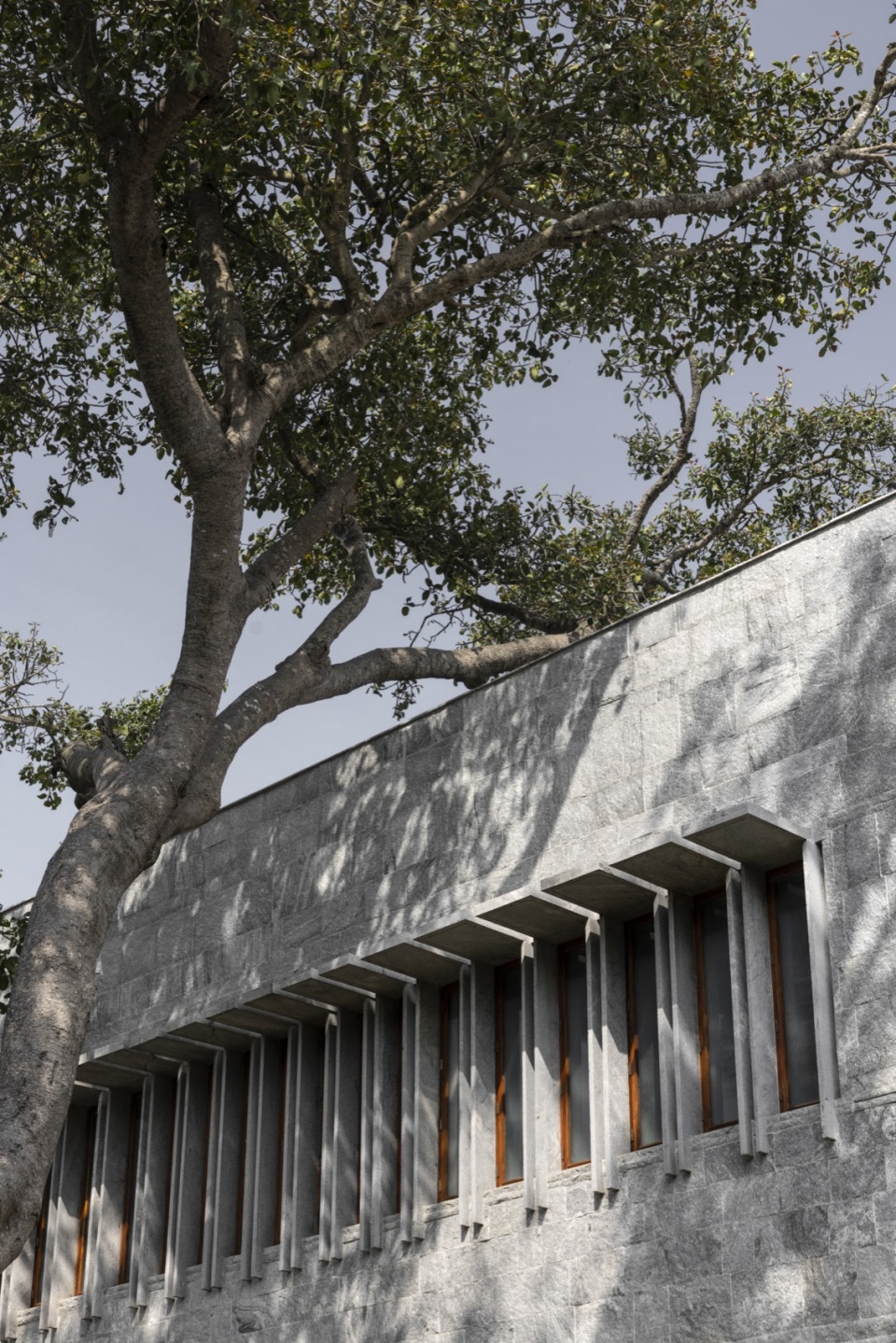 one tree hill by samira rathod design atelier