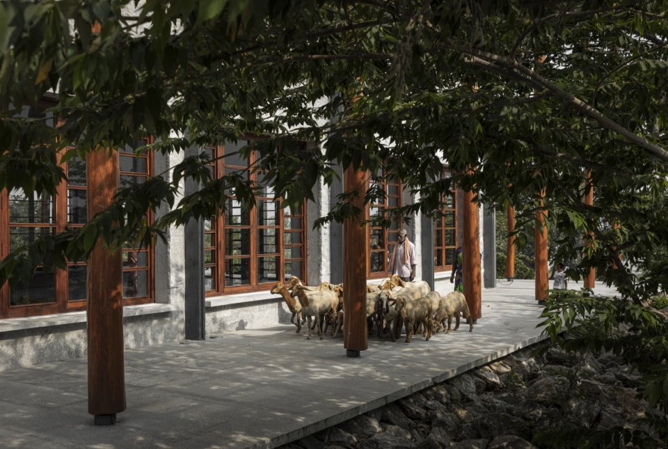 one tree hill by samira rathod design atelier