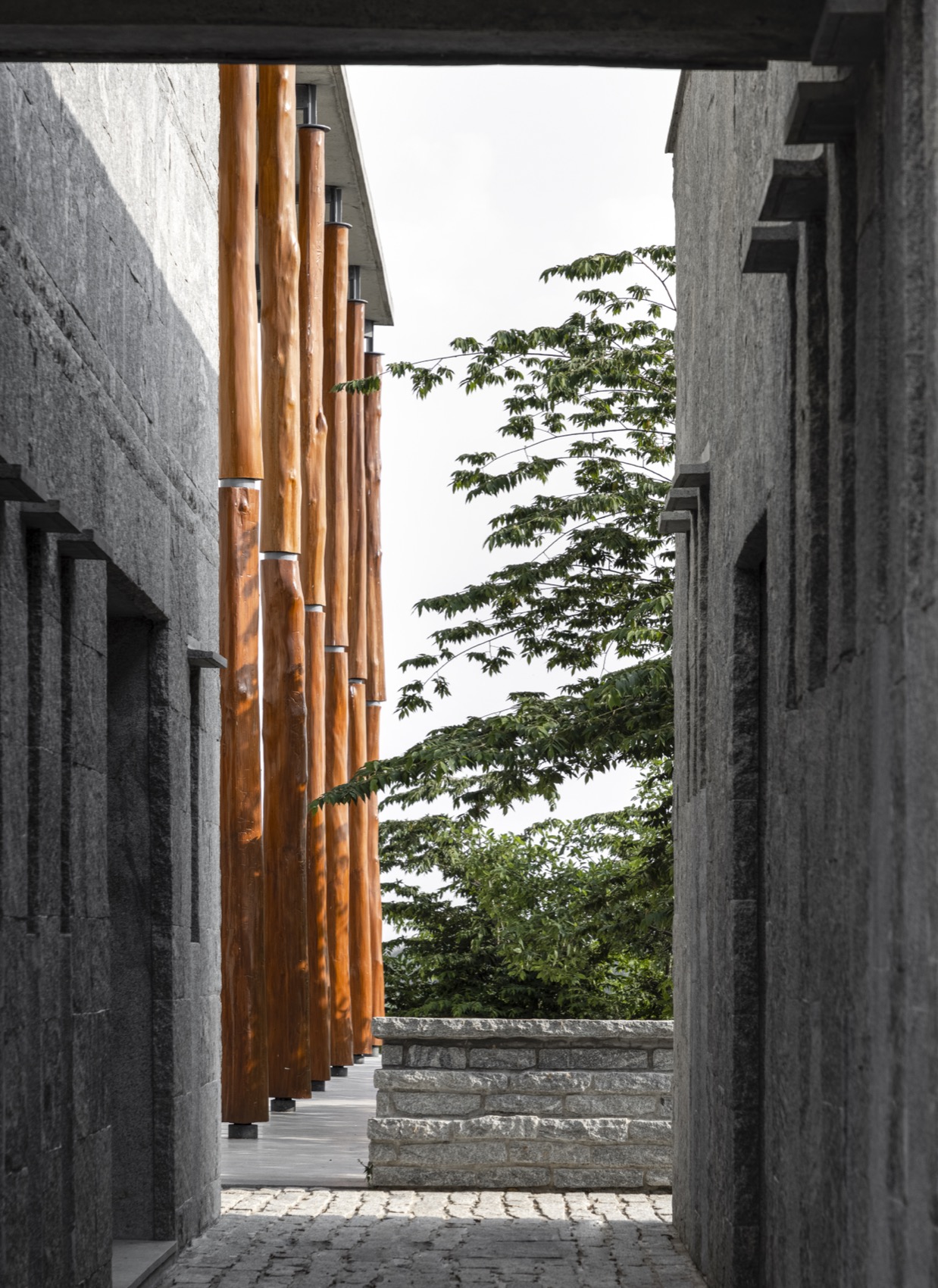 One Tree Hill by Samira Rathod Design Atelier - 谷德设计网