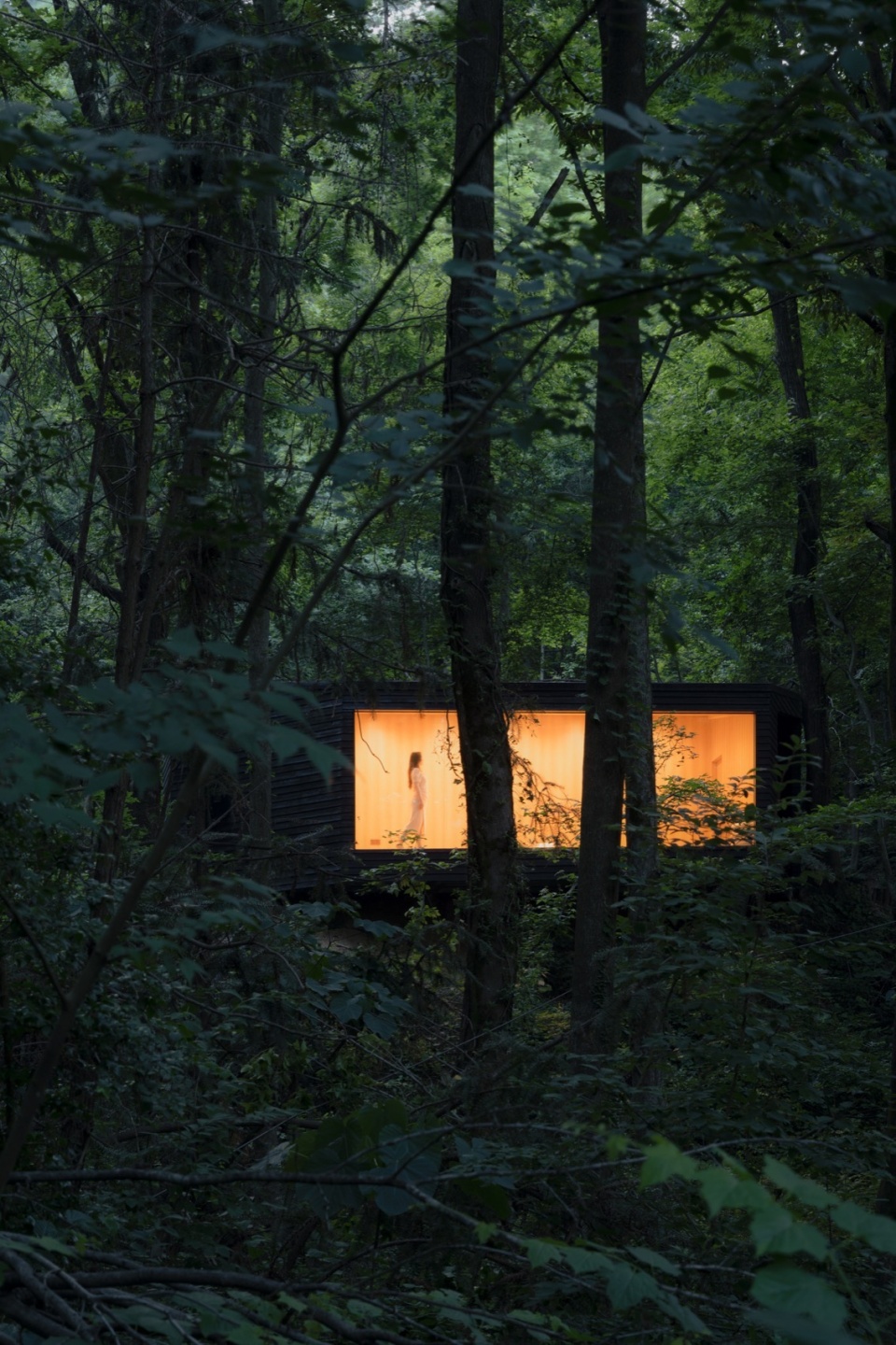 内部不开灯的话,木屋将隐入森林中 aquatree resort healing cabin by uao