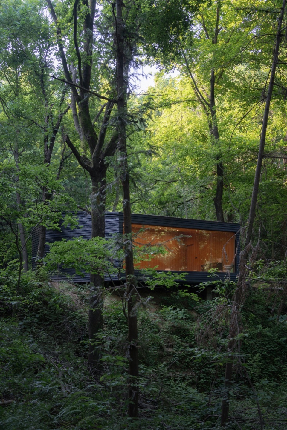 木屋在郁郁葱葱的林下 aquatree resort healing cabin by uao