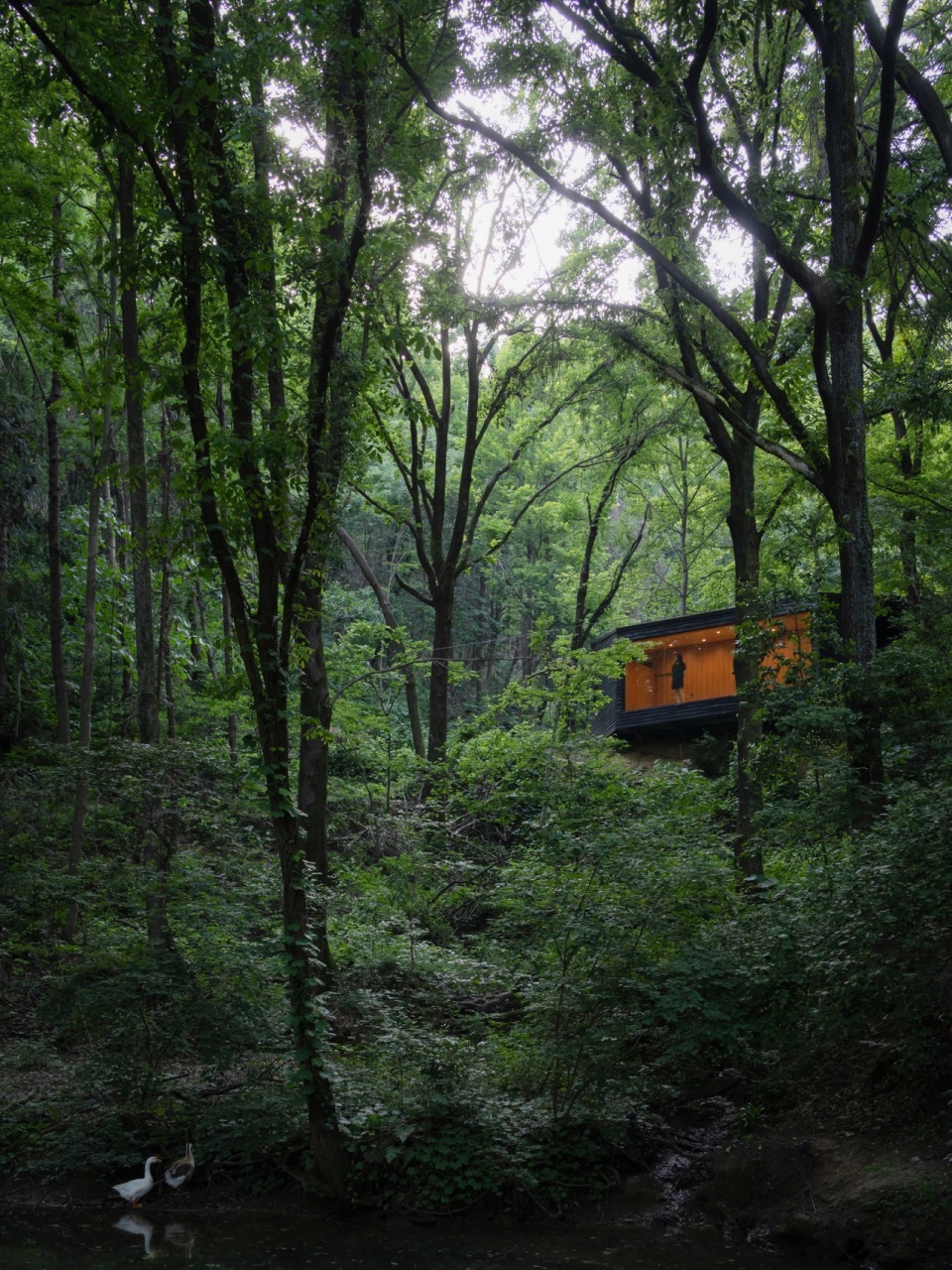 木屋设置在上池塘自然形成的土堤坝上 aquatree resort healing cabin by uao
