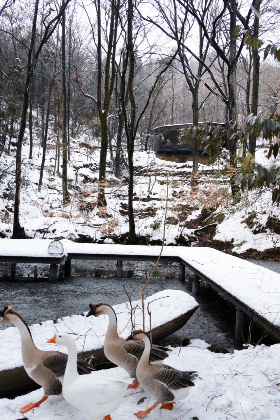 木屋雪景 3 aquatree resort healing cabin by uao