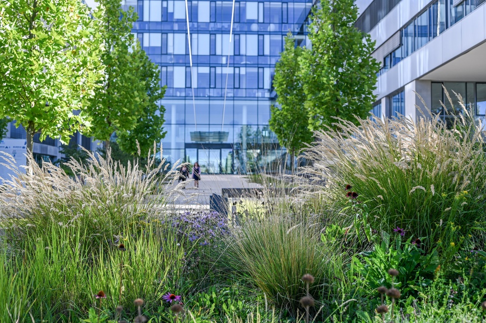 kavci hory office park by atelier partero