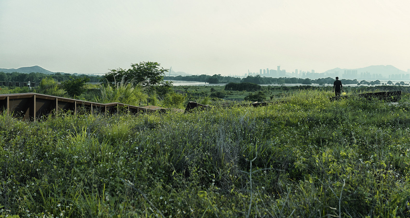 The Memorial Park of the 19th International Botanical Congress (IBC) by