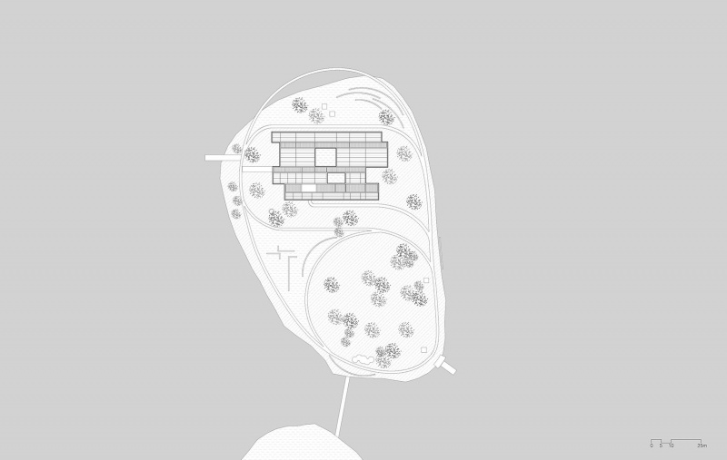 ginkgo gallery by more architecture