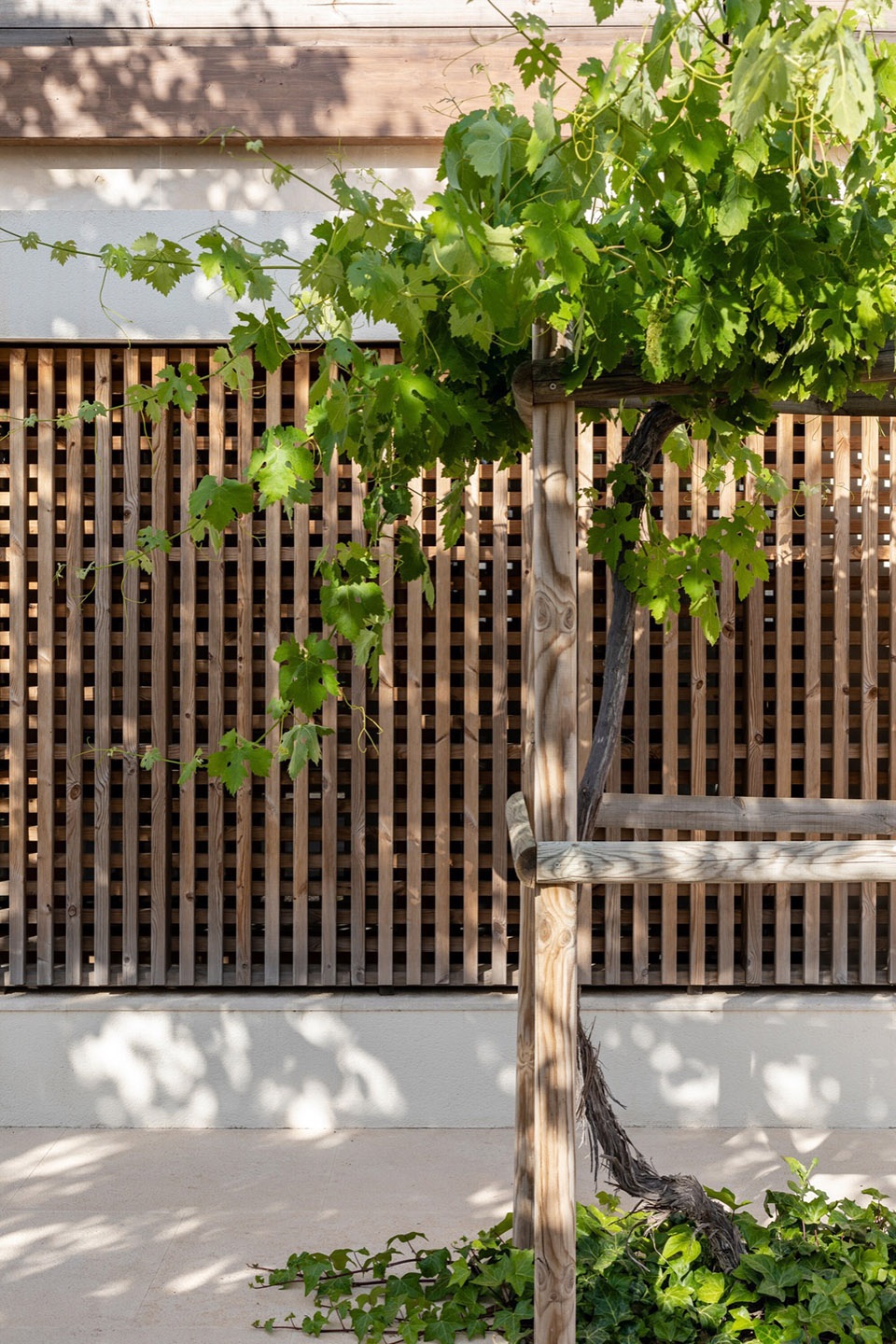Sa Taronja by BEEF ARCHITEKTI
