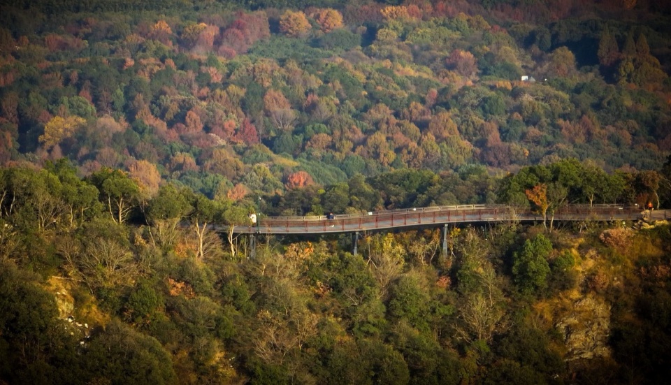 shuangxi greenwayby powerchina huadong engineering co ltd 拷贝