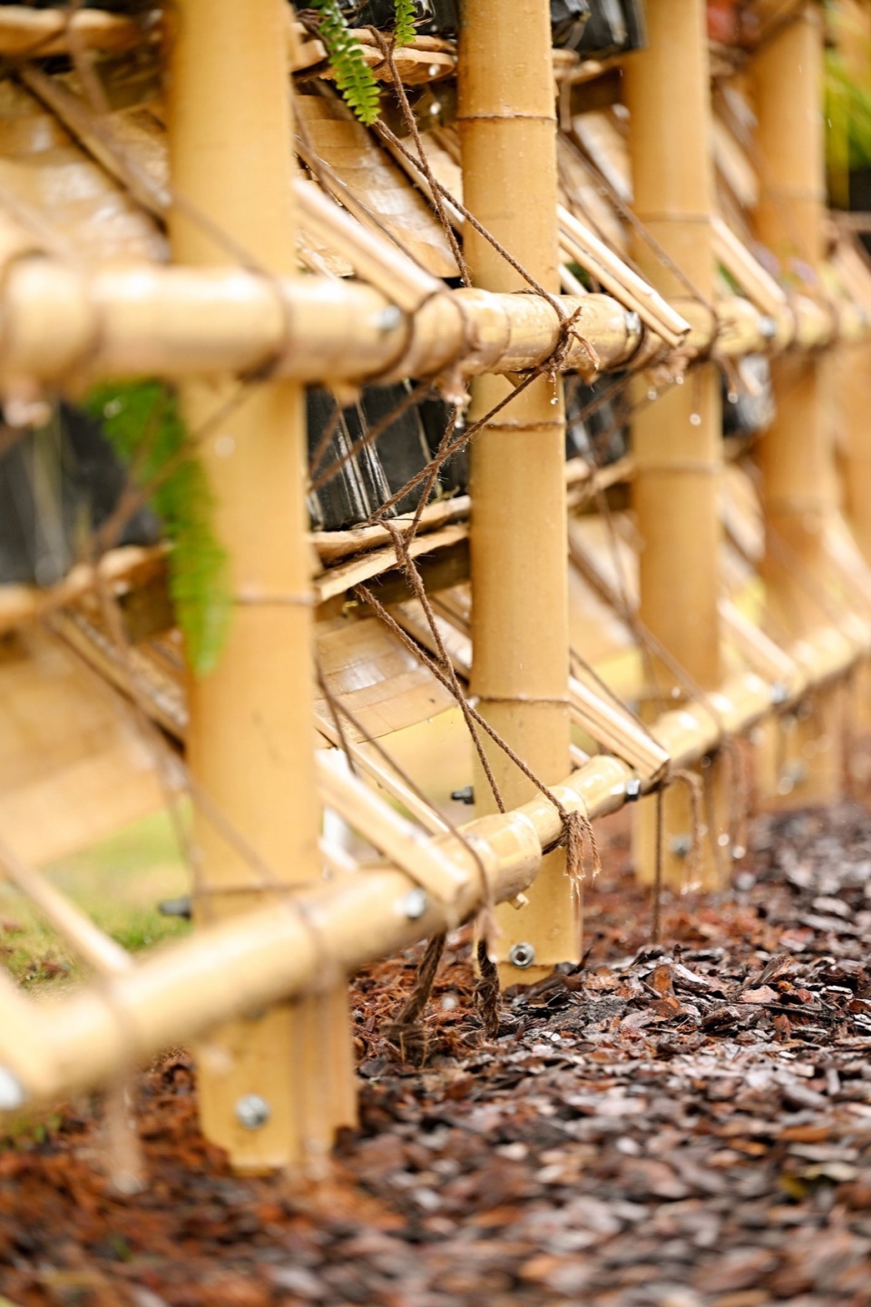 Eastern Fences by Beijing Forestry University Atelier Folie