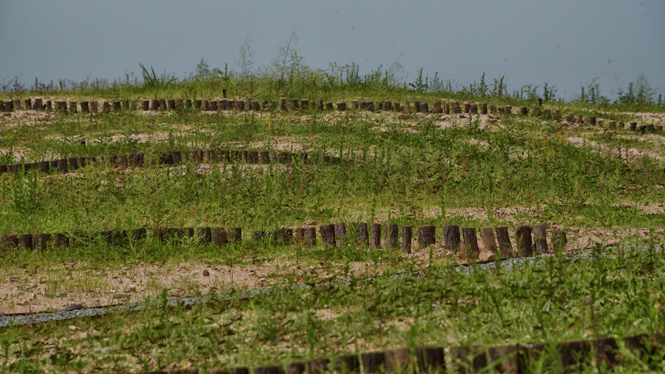 the memorial park ibc by guangzhou turen landscape