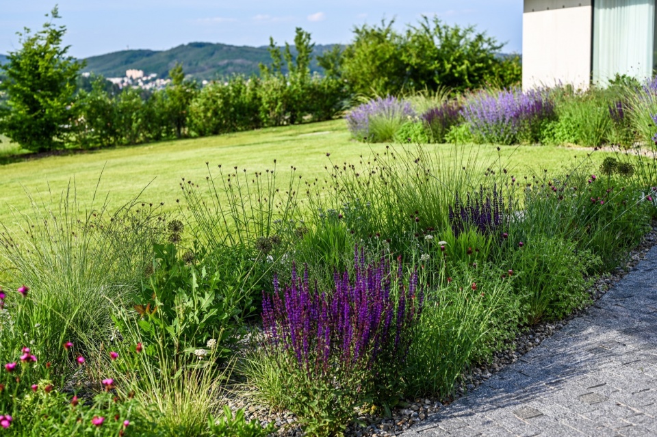 Limitless garden by Atelier Partero