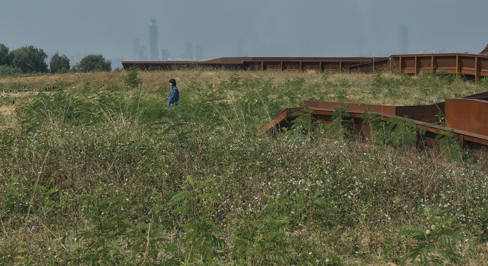 The Memorial Park of the 19th International Botanical Congress (IBC) by