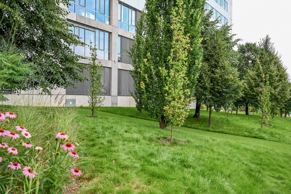 kavci hory office park by atelier partero