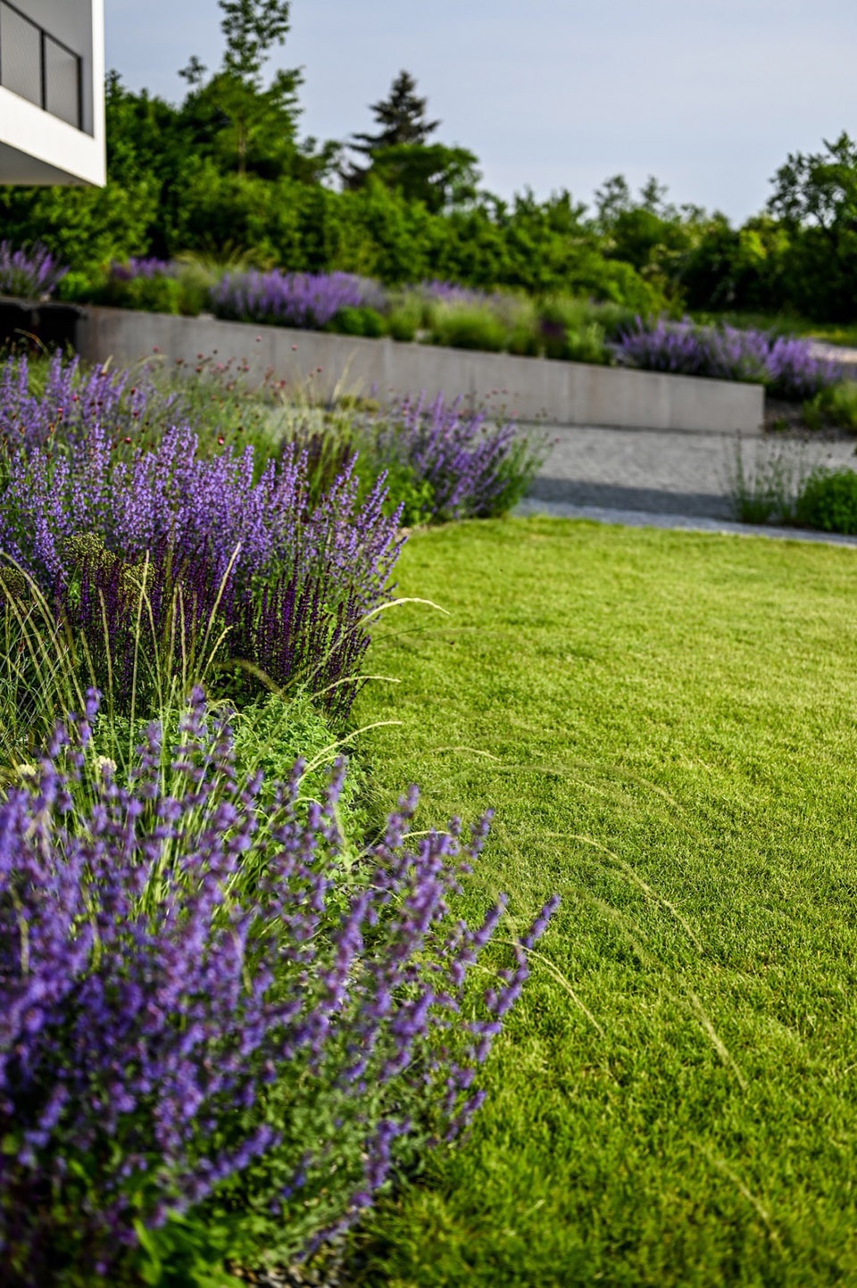 Limitless garden by Atelier Partero