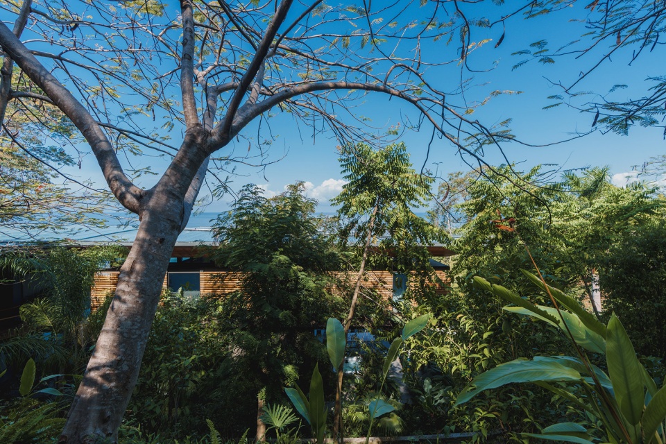 cascada de luz by studio saxe