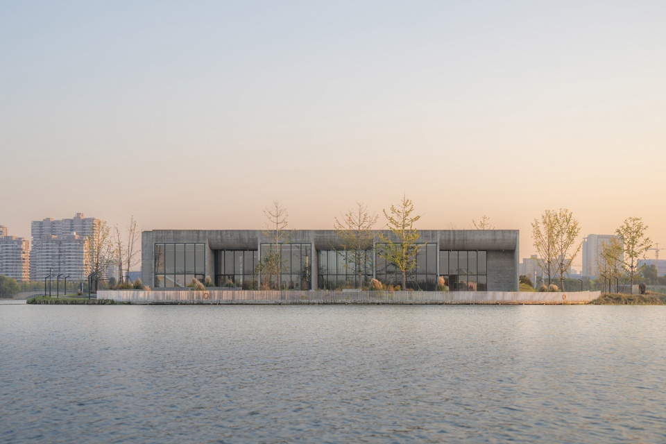 ginkgo gallery by more architecture