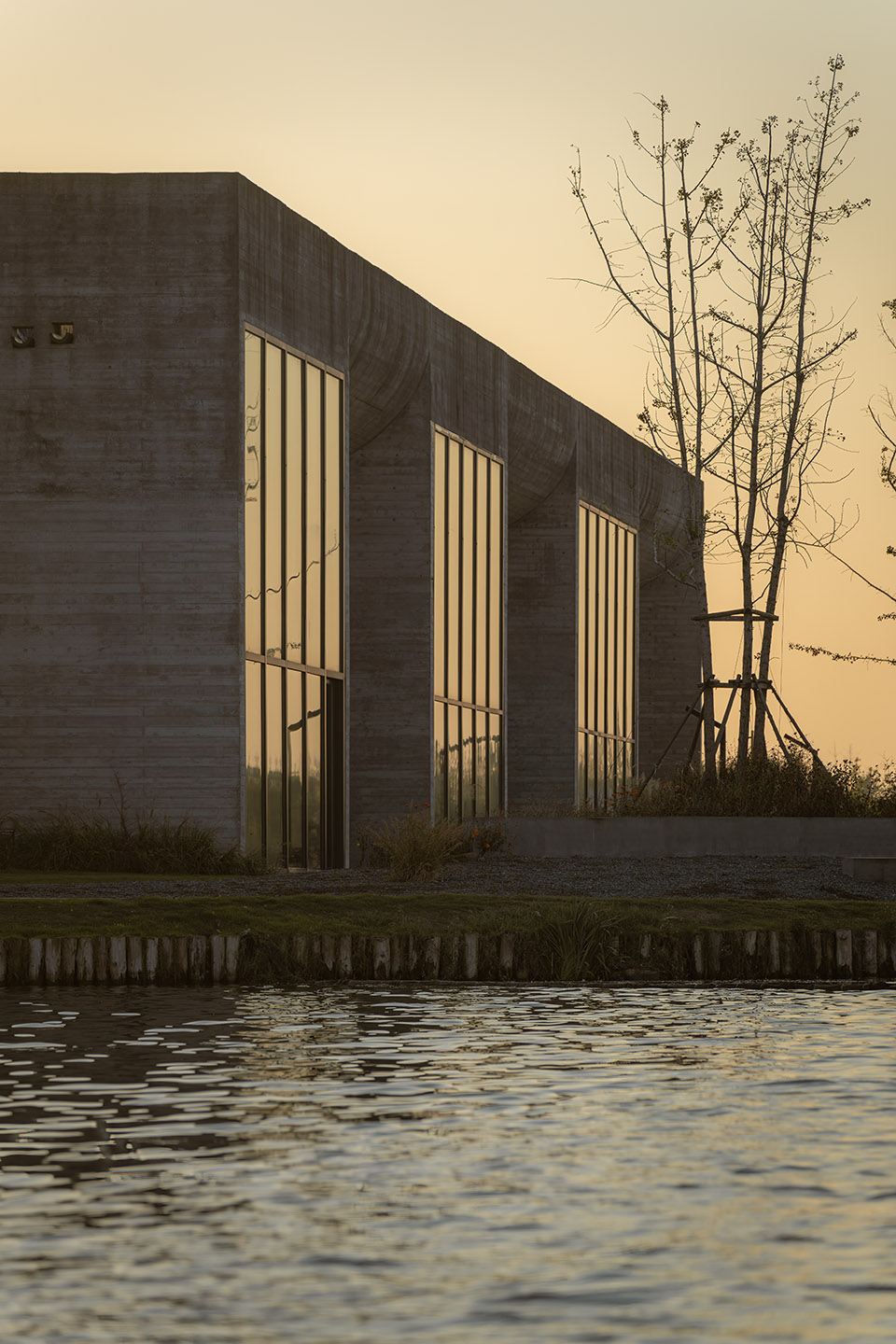 ginkgo gallery by more architecture