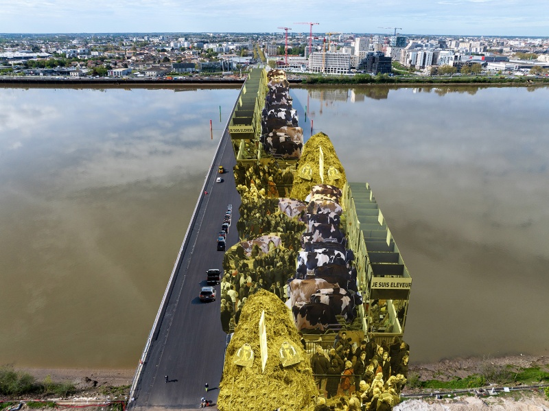simone veil bridge by oma