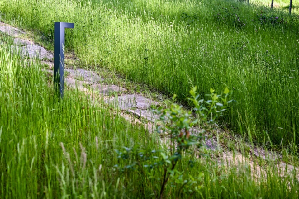 Limitless garden by Atelier Partero
