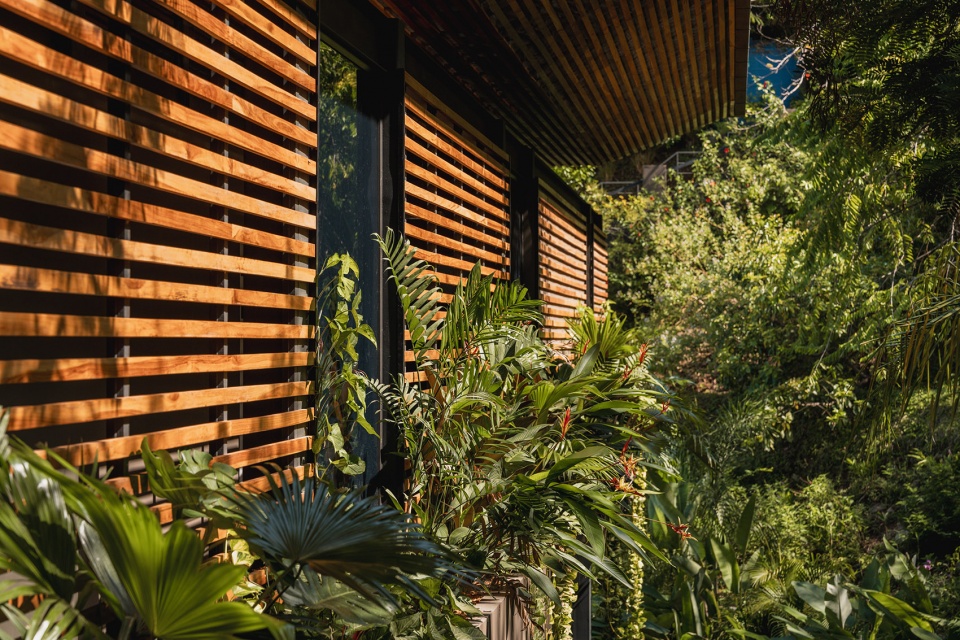 cascada de luz by studio saxe