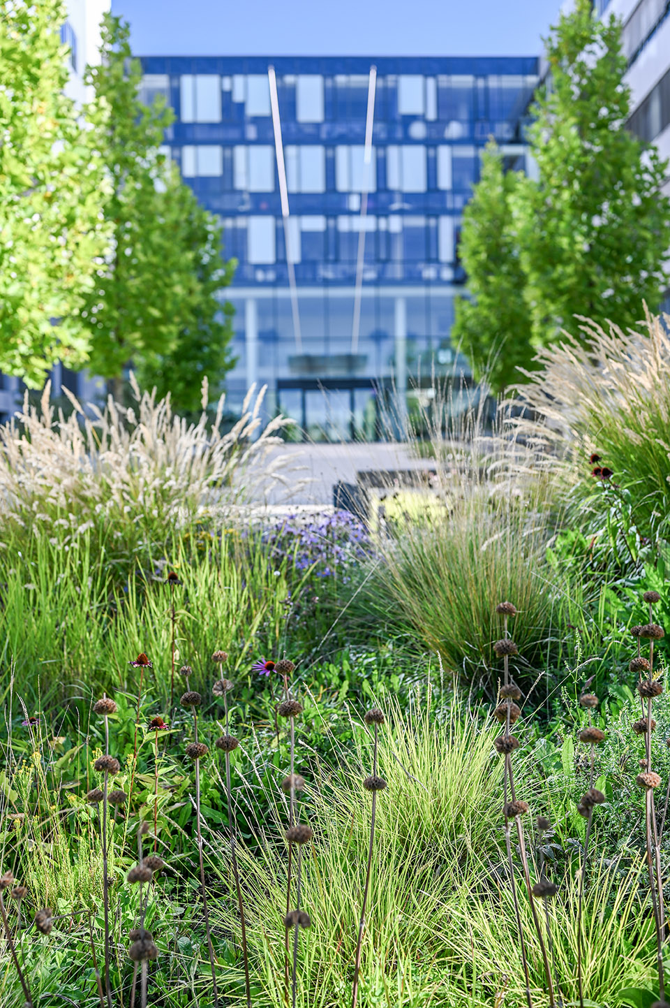 kavci hory office park by atelier partero