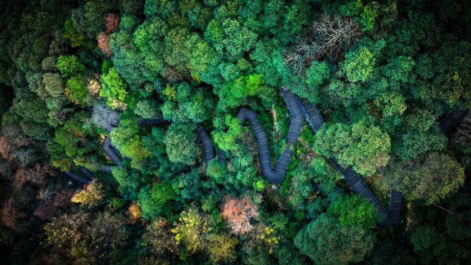 shuangxi greenwayby powerchina huadong engineering co ltd 拷贝