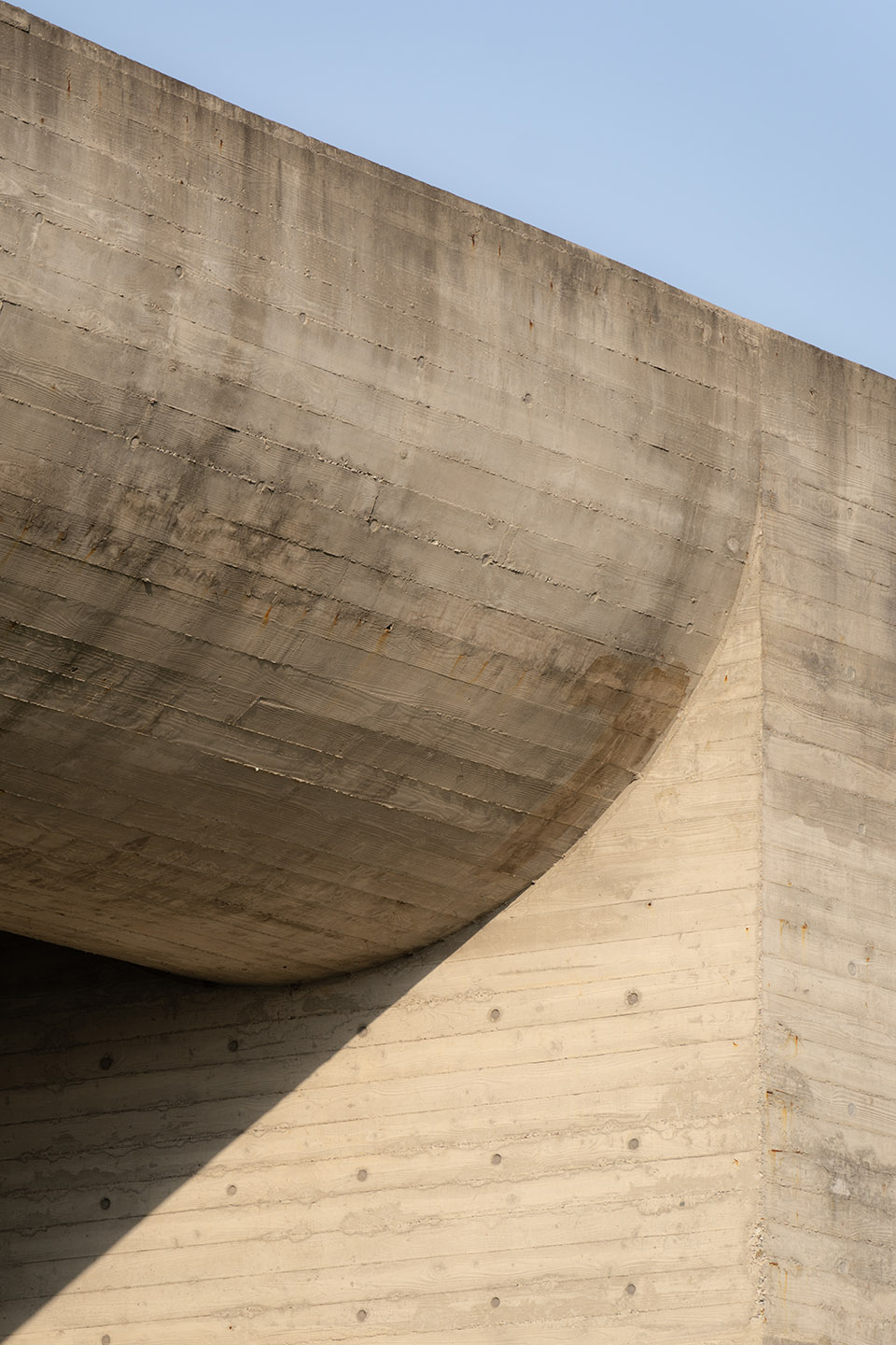 ginkgo gallery by more architecture