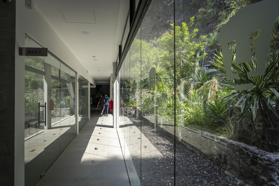 pumas club house by dfarquitectos
