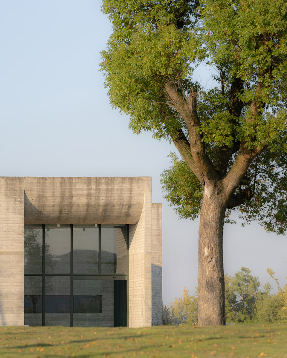 ginkgo gallery by more architecture
