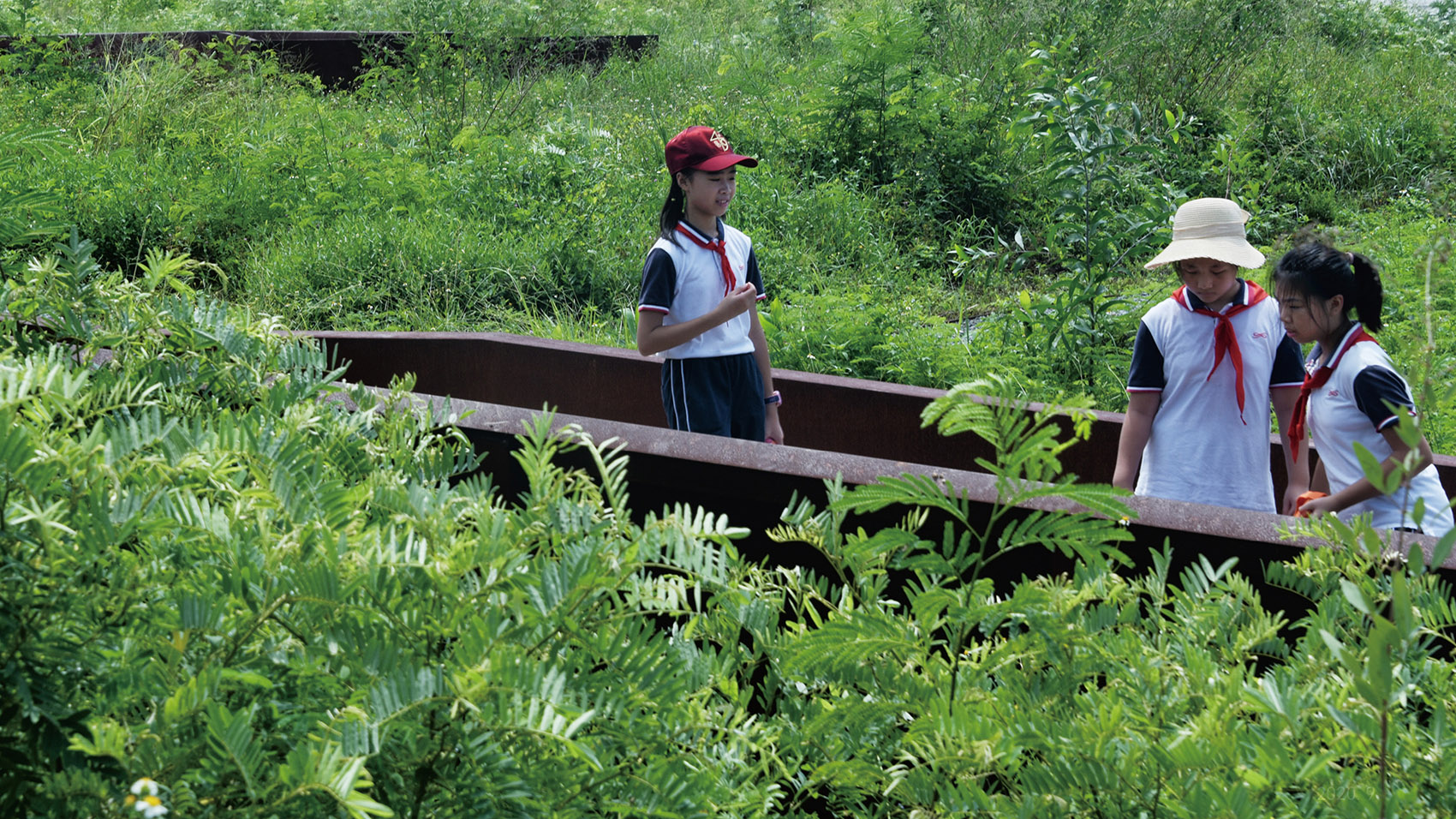 The Memorial Park of the 19th International Botanical Congress (IBC) by